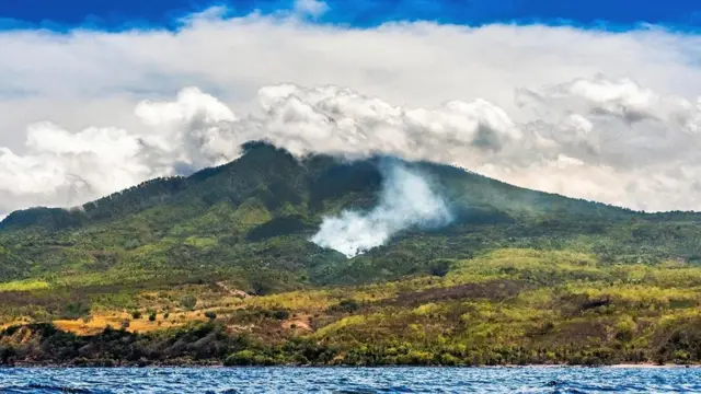 حرائق الغابات في إندونيسيا