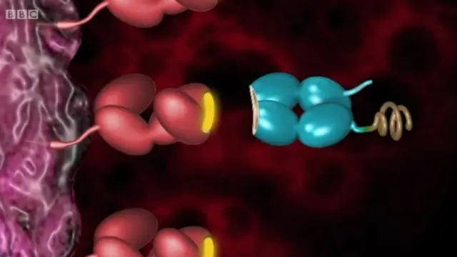 ক্যান্সার