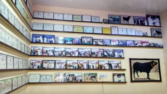 नरेंद्र यांचा हॉल प्रमाणपत्रांनी भरलेला दिसून येतो.