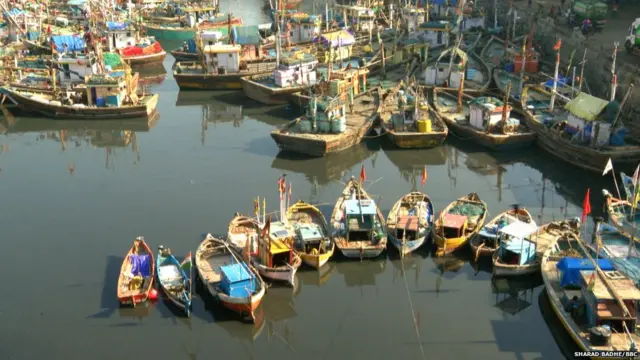 'तरदिवशी याठिकाणी सव्वाशे ते दीडशे बोटी येतात. त्यातून चारशे ते पाचशे टन मासळी बंदरात येते'