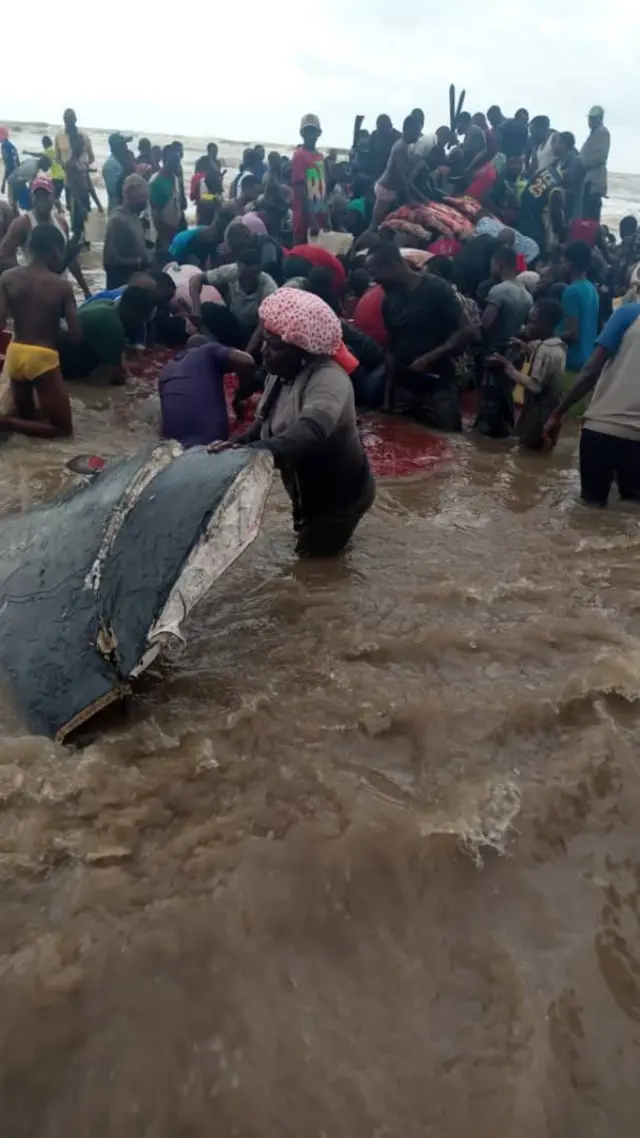 Pipo dey butcher di whale