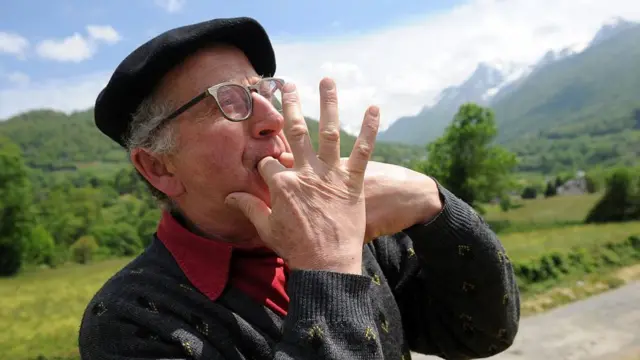 सीटी की भाषा