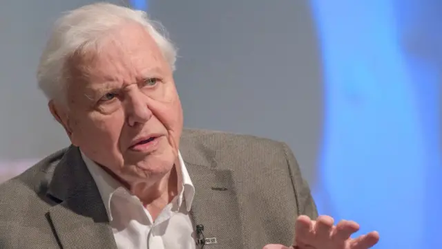 డేవిడ్ ఎటెన్బరో