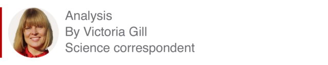 Analysis box by Victoria Gill, science correspondent