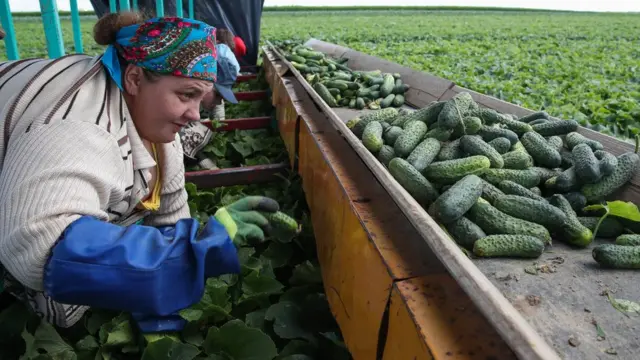 Белорусская экономика вряд ли существенно выиграет от интеграции, так как уже и так серьезно зависит от России