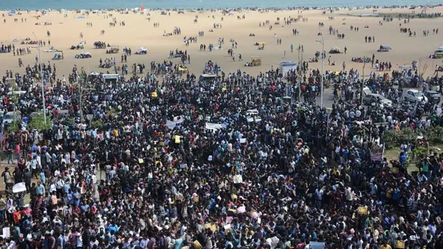 ஜல்லிக்கட்டு