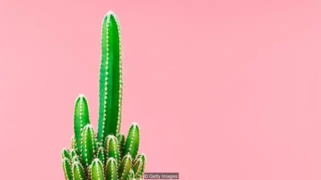 "Minum segelas wine sebelum berhubungan seks — pasti akan lebih baik".