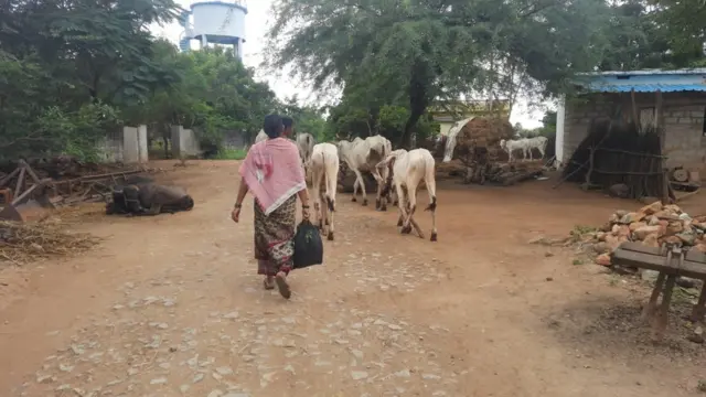 రామోజీ తండా