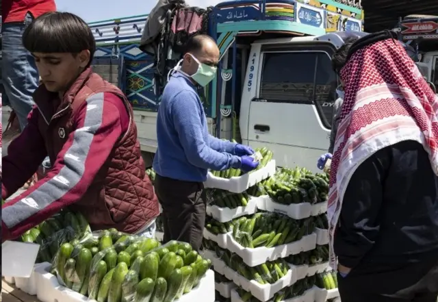 شبکه توزیع محصولات زراعی در سرتاسر جهان با مشکل روبرو شده