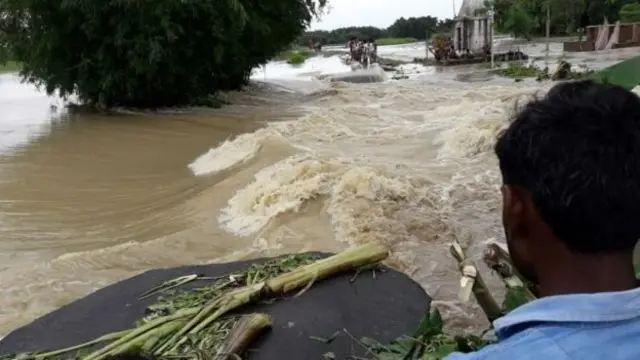 බිහාරයේ ගංවතුර ජන ජීවිත අඩාල කිරීමට හේතුවිය