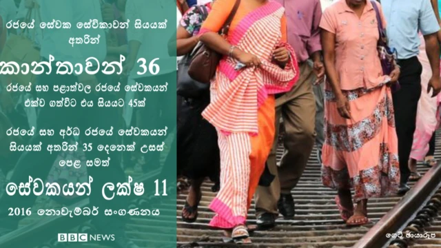 2016 නොවැම්බර් සංගණනයේ තොරතුරු