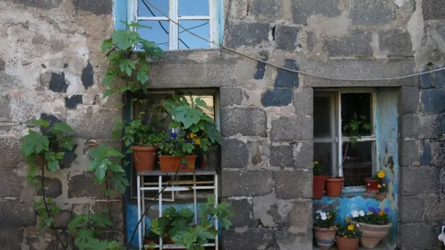 Melek Sayılır'ın bahçesinden bir fotoğraf