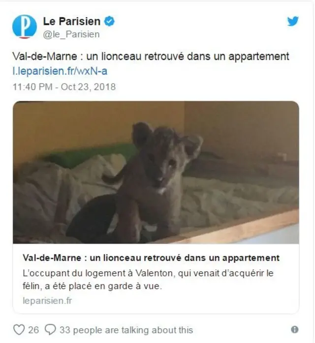 சிங்கக்குட்டி