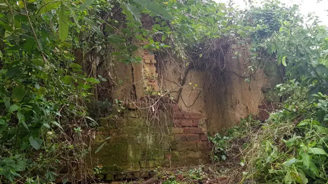 Gamoowwan hafan keessaa tokko