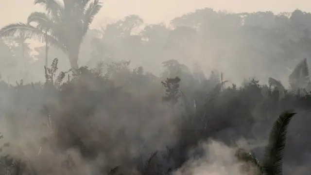 Humo en el bosque