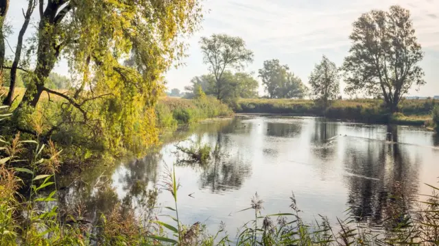 Fotojogo de aposta bestum lago rodeado por árvores durante o dia