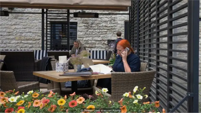 Namoota Interneetii fayyadaman