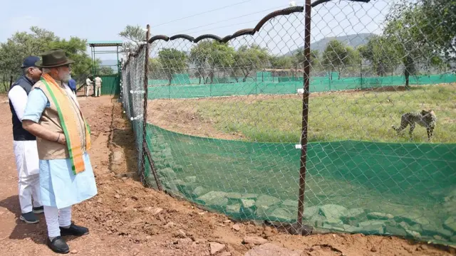 చీతాలతో నరేంద్ర మోదీ