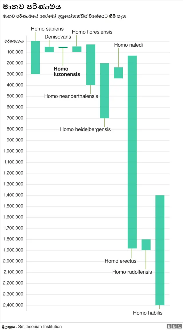 හෝමෝ ල්යුසොනෙන්සිස්