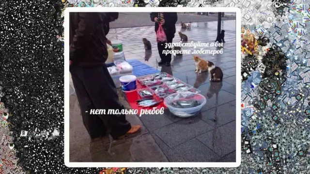 Мем про рыбов