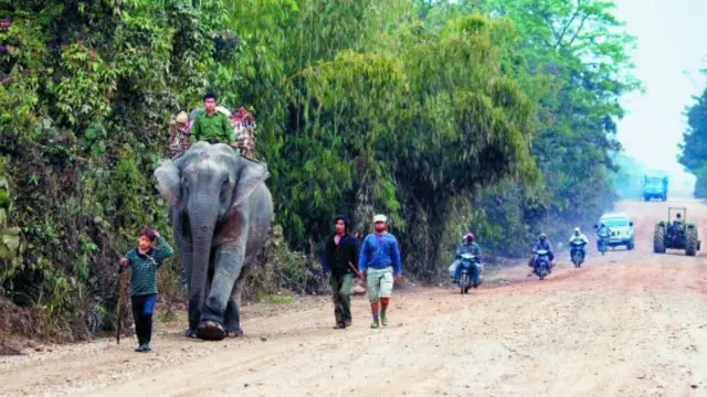 လီဒိုလမ်းမ