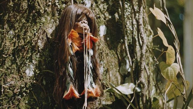 Cabeça encolhida na Amazônia nos anos 1960