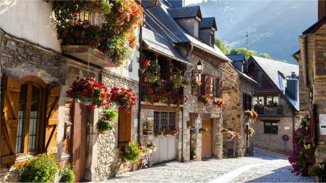 Sekitar 40% penduduk Val d'Aran dapat berbicara bahasa Aranese, dialek dari bahasa Occitan.