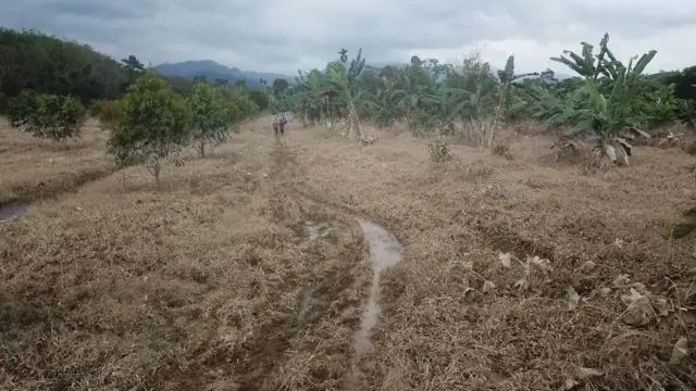 พื้นที่การเกษตรที่ได้รับความเสียหาย