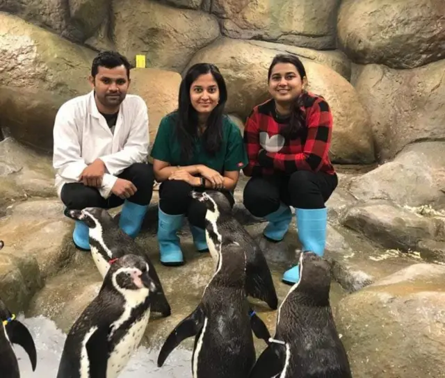 डॉ. मधूमिता काळे जिजामाता उद्यानातील हम्बोल्ट पेंग्विन सेंटरमध्ये प्रमुख डॉक्टर म्हणून काम करतात.