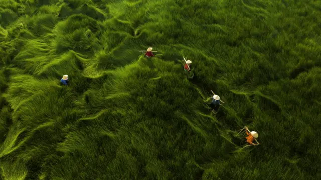 Vietnam from above