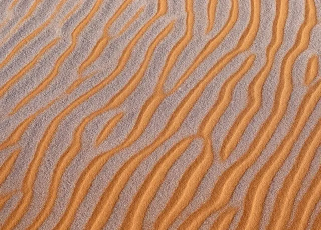 Picture dated January 8th shows a covering of snow and ice in the Sahara Desert near Ain Sefra in northwestern Algeria.