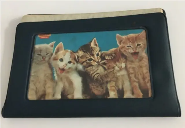 రుమికో కనిపించకుండా పోయిన తరువాత పోలీసులకు దొరికిన ఆమె కారులో పర్సు, సన్ గ్లాసులు ఉన్నాయి.