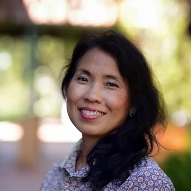 অধ্যাপক তোয়ে তোয়ে থেইন