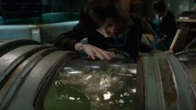 शेप ऑफ वाटर