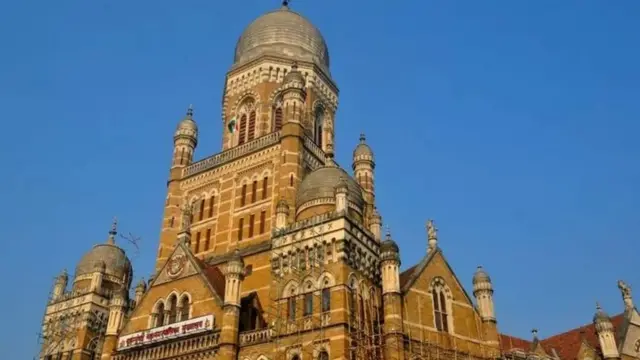 भाजप, हिंदुत्व