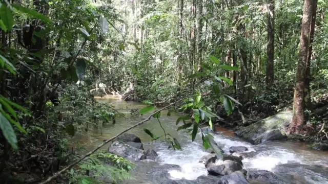 වඳ වී යාමේ තර්ජනයට ලක් වූ අවේණික මත්ස්‍ය විශේෂ ජීවත්වන බොහෝ වාසස්ථාන ආරක්‍ෂිත නොවන බව පරිසරවේදීහු පවසති.