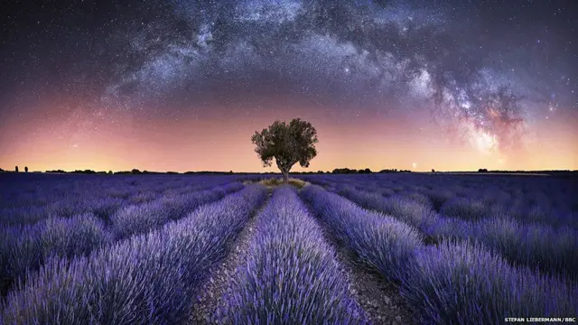 A panorama photo showing a lavender field with stars , ਪੁਲਾੜ, ਖਗੋਲ , ਤਸਵੀਰਾਂ, ਫੋਟੋਗ੍ਰਾਫ਼ੀ, ਅਸਮਾਨ