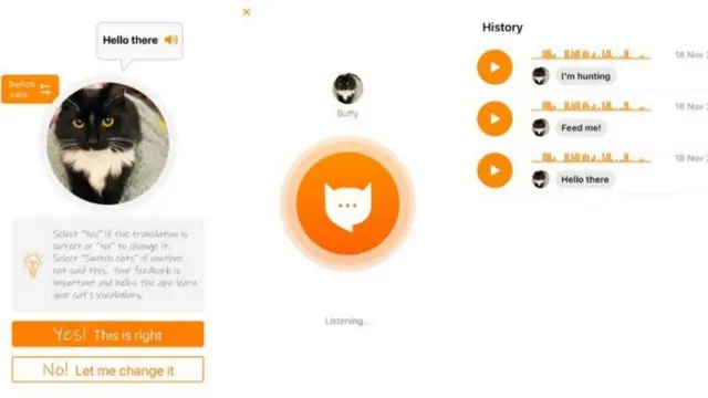 BBC记者克利德尔用自己的猫做试验(Credit: MEOWTALK/AKVELON)