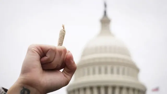 Un porro con el capitolio de fondo.