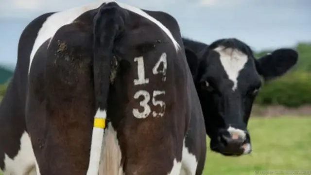 Takashin saniya daban take