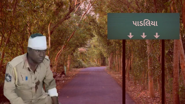 બીબીસી ગુજરાતી, ગુજરાત, બીબીસી, બનાસકાંઠા, પાડલિયા, આદિવાસી, પોલીસ પર હુમલો, વનવિભાગની ટીમ પર હુમલો,