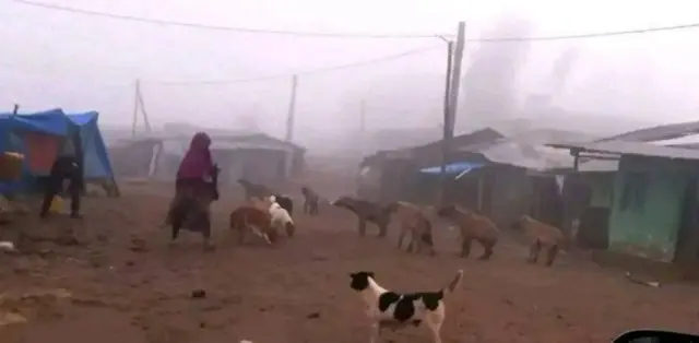 ኣዛብእ ኣብ ከተማ 