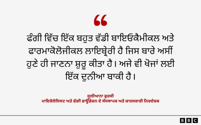 ਜੂਲੀਆਨਾ ਫੁਰਸੀ