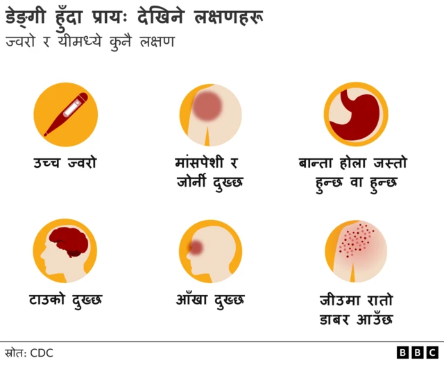 डेङ्गी हुँदा के हुन्छ
