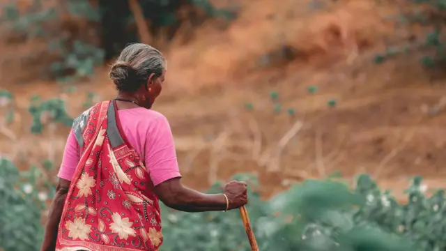 प्रातिनिधिक फोटो