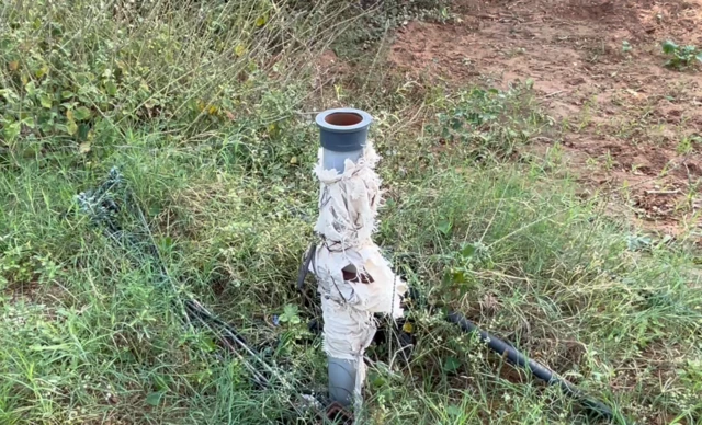 સૂકાઈ ગયો હોય તેવા એક બોરની તસવીર