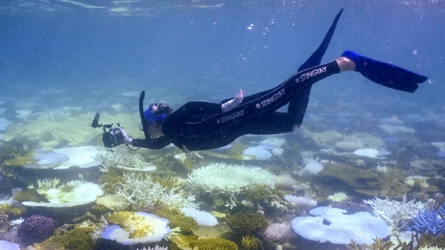 تصوير في قاع بحر 