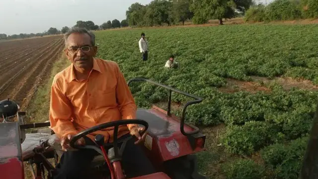 ਮੂੰਗਫਲੀ