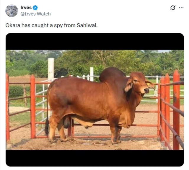 x.com/Irves_Watch