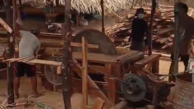 အလောင်းတော်ကဿပ အမျိုးသားဥယျာဉ်ထဲမှာ သစ်ထုတ်လုပ်နေတဲ့ NUG လက်အောက်ခံ တပ်ရင်းတခု